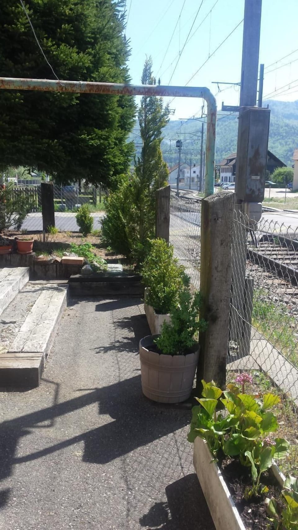 Picture 5
