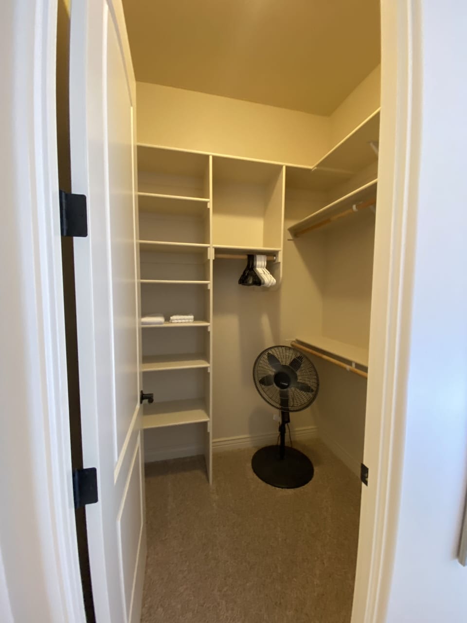 Guestroom walk in closet