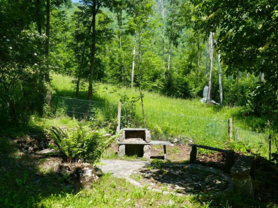 Outdoor