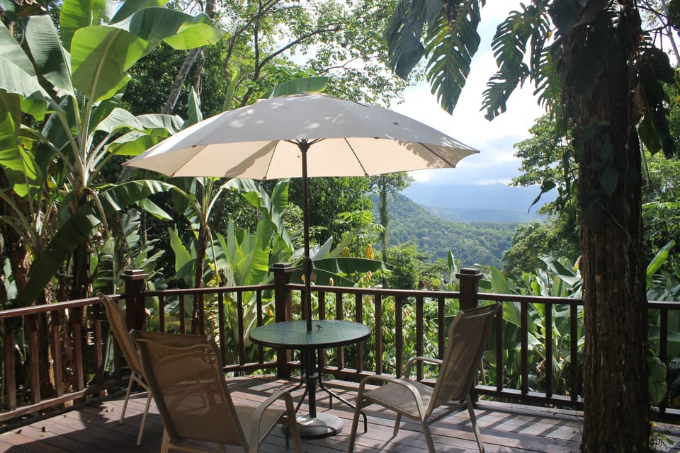 Have your coffee while watching the toucans and the hummingbirds
