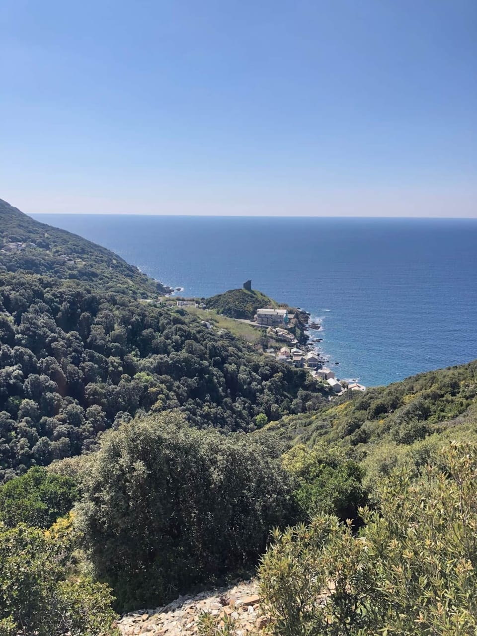 8138459f-b665-4d78-8186-cefe0b6fbdb8