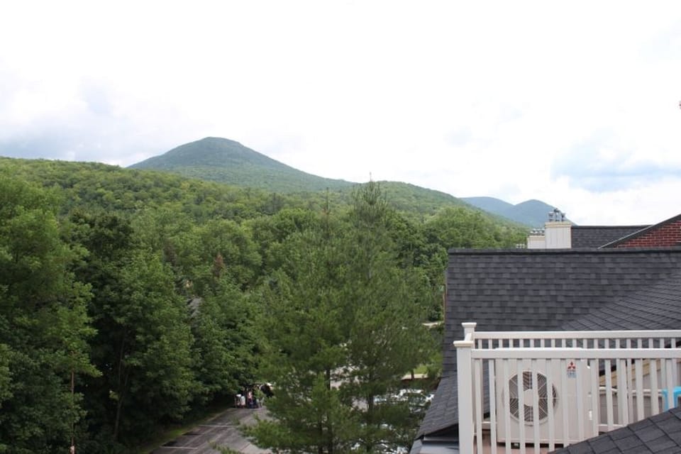 Mountain Views
