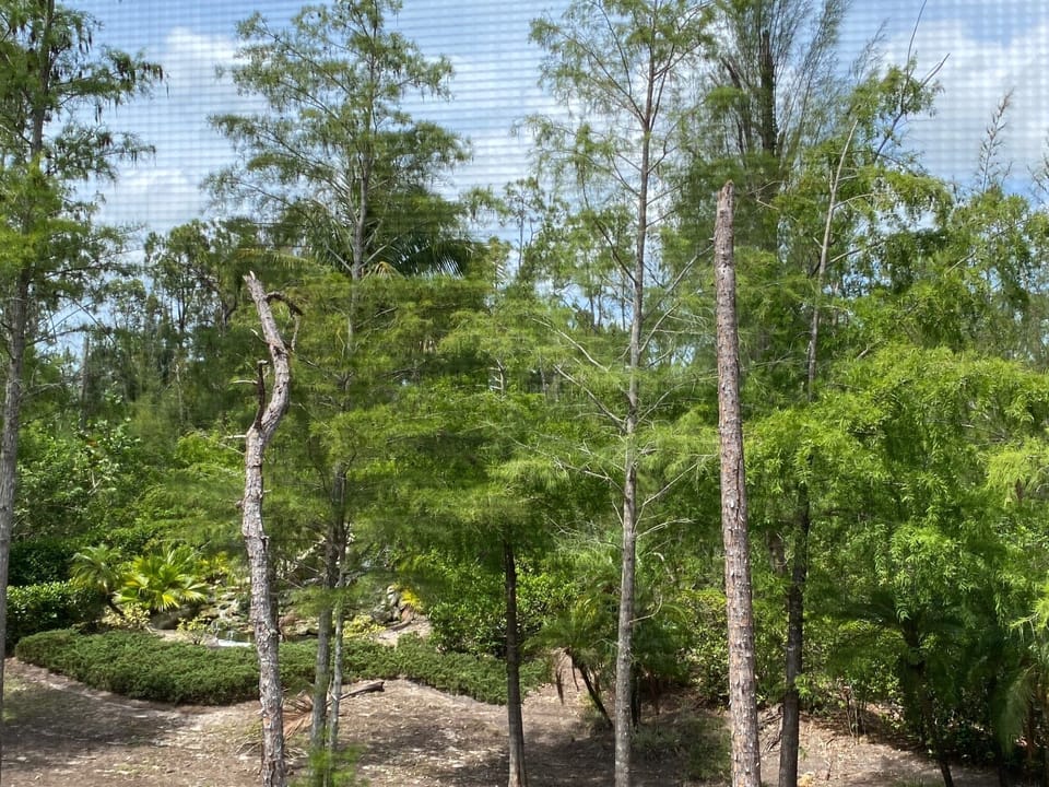 Lots of green spaces throughout the neighborhood