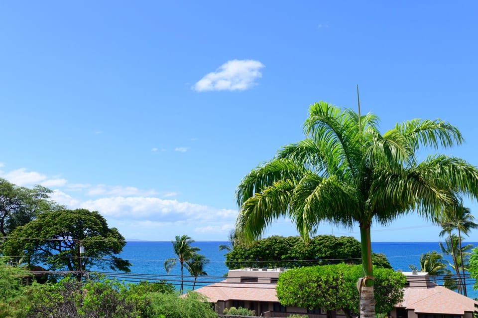 Ocean view from condo