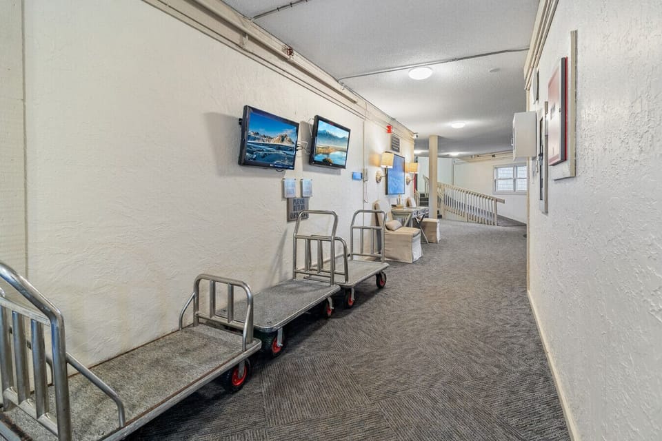 Luggage Carts in the Lobby Area