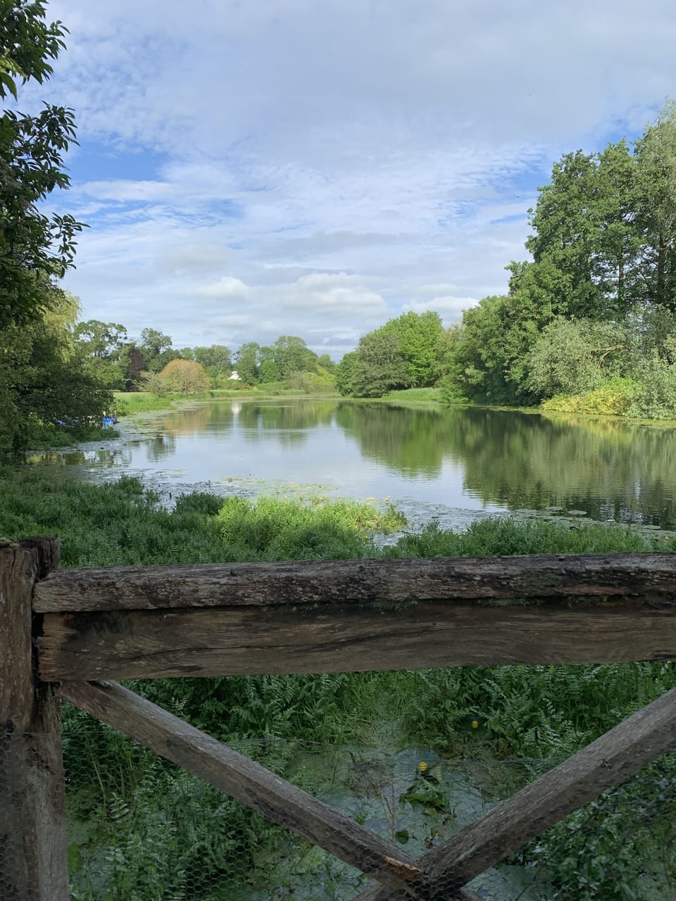 View up the lake