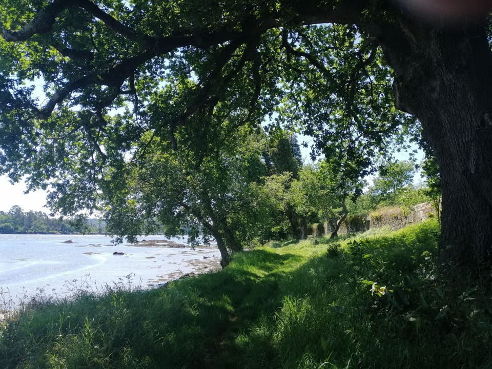 Paisagem das imediações