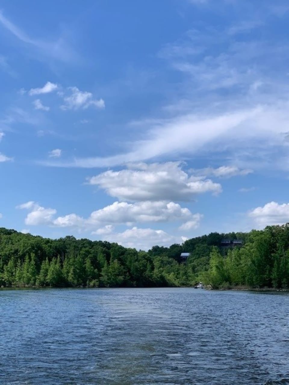 View of Cove from Water
