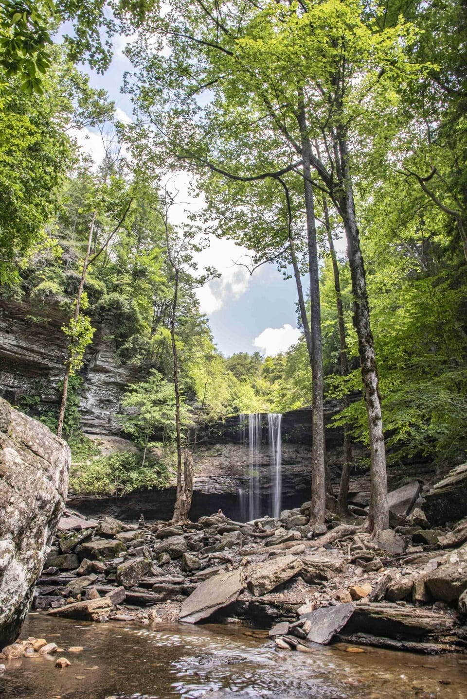 Greeter Falls Lodge Cottage #7 (2601)