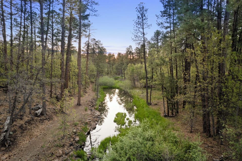 Located right on Billy Creek with direct creek access