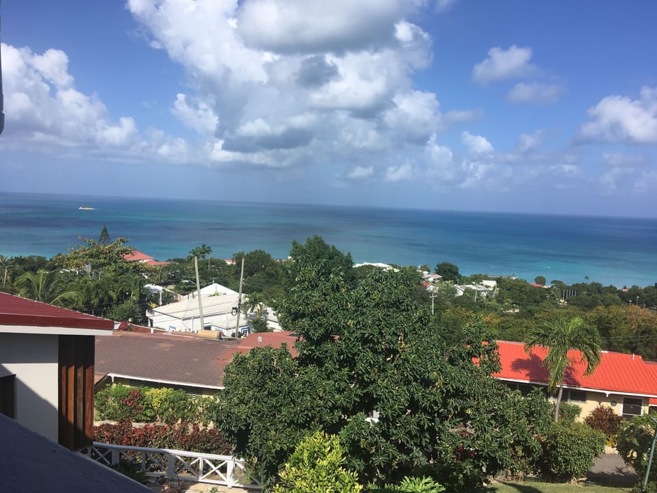 Image 15