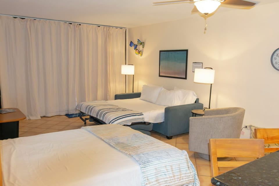 Spacious living area with Murphy bed and sofa sleeper open.