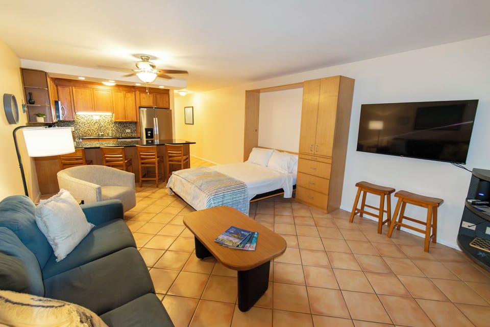 Living area with Murphy bed.