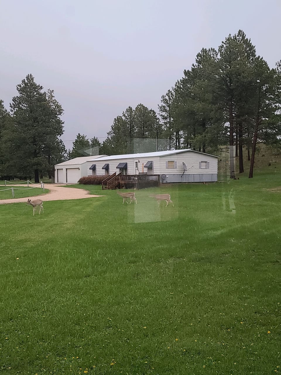 Home Sweet Home