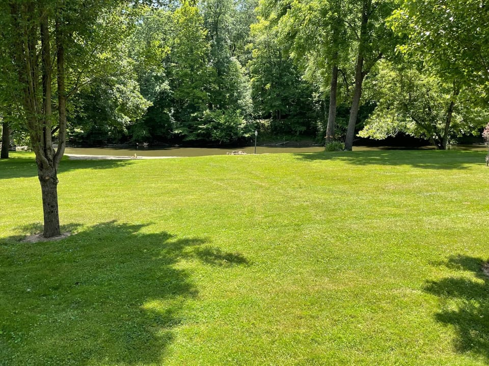 Large Back yard