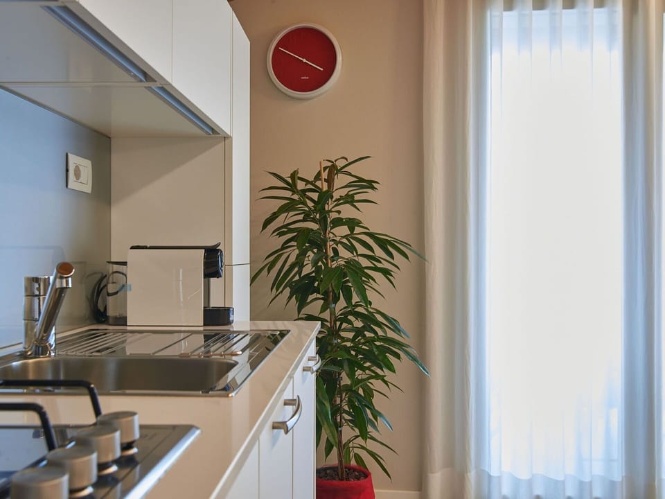 Property, Plant, Cabinetry, Houseplant, Interior Design, Building, Flowerpot, Wood, Floor, Flooring