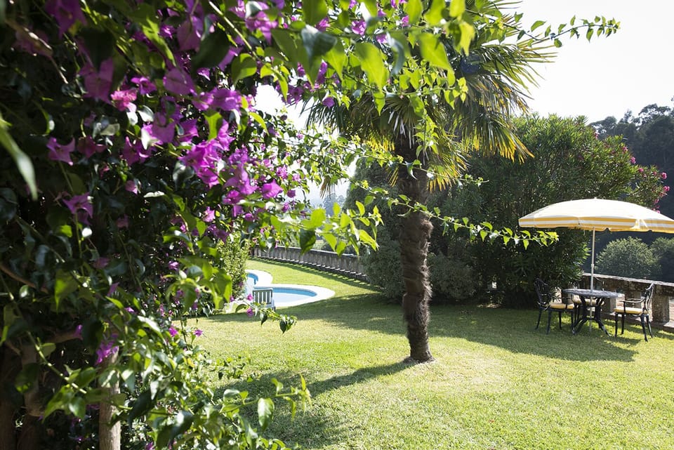 Una vista del jardín con macizos de plantas bien cuidados