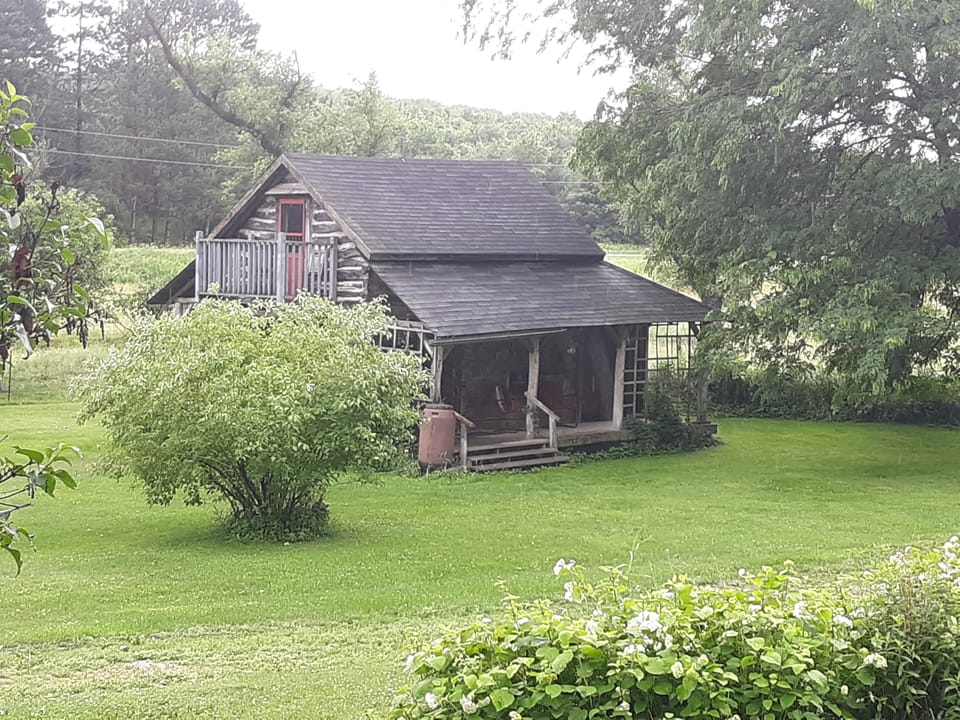 Peaceful, quiet, secluded.  Park under the tree, in front of the Cabin.