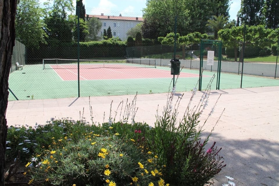 Sport court