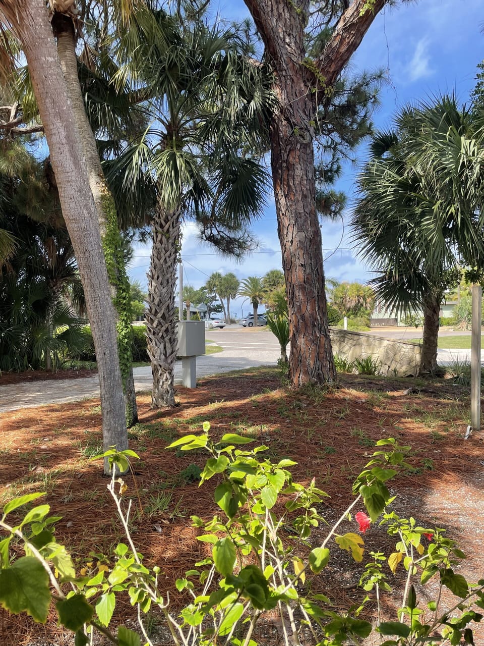 Gulf of Mexico Drive and the public beach access directly across the street.