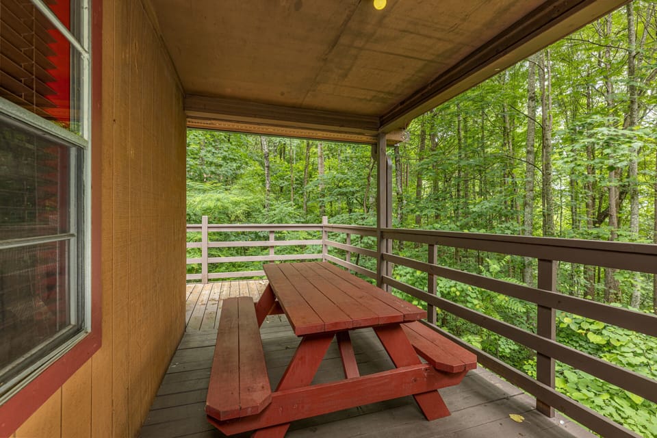 Picnic table on back deck for a private picnic
