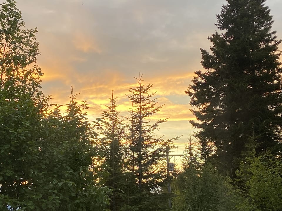 Taken from the kitchen window at 11pm 