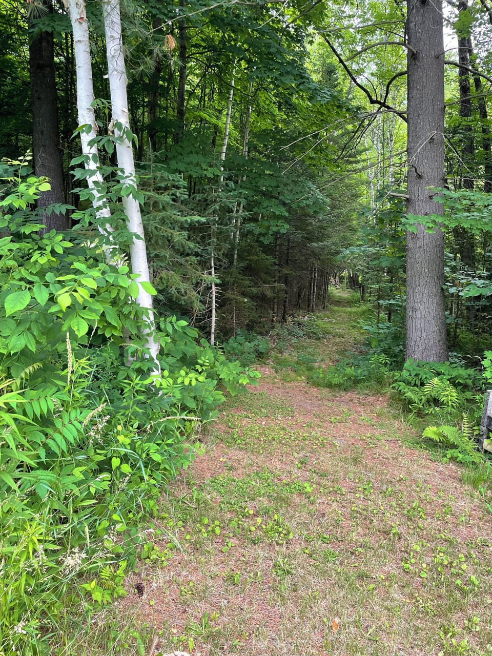 Walking trails on the 10 acre property 