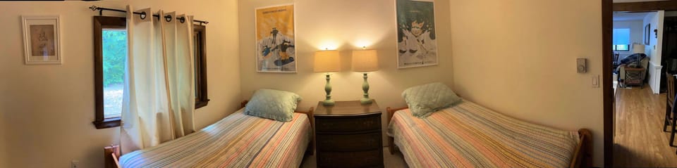 2nd bedroom with 2 twin beds
