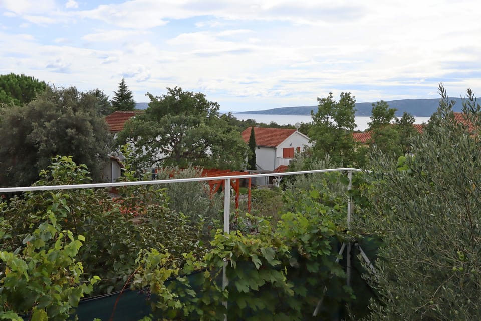 Terrace 1