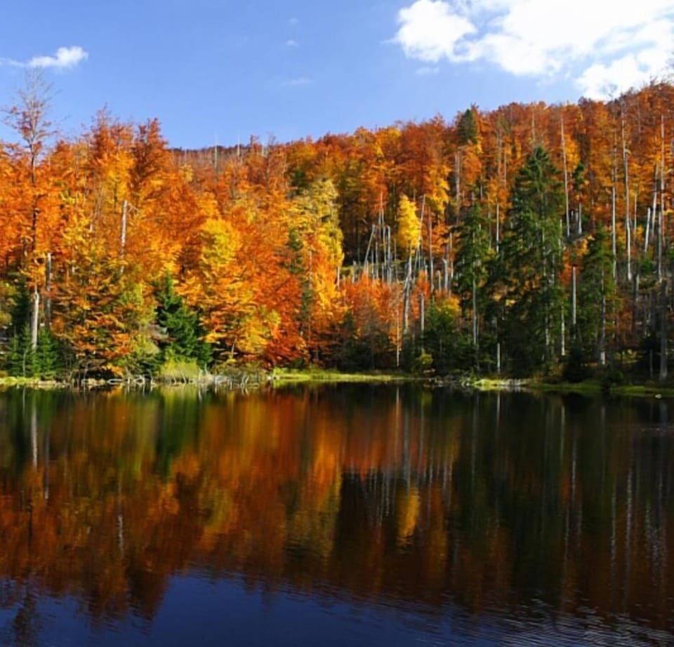 Lake