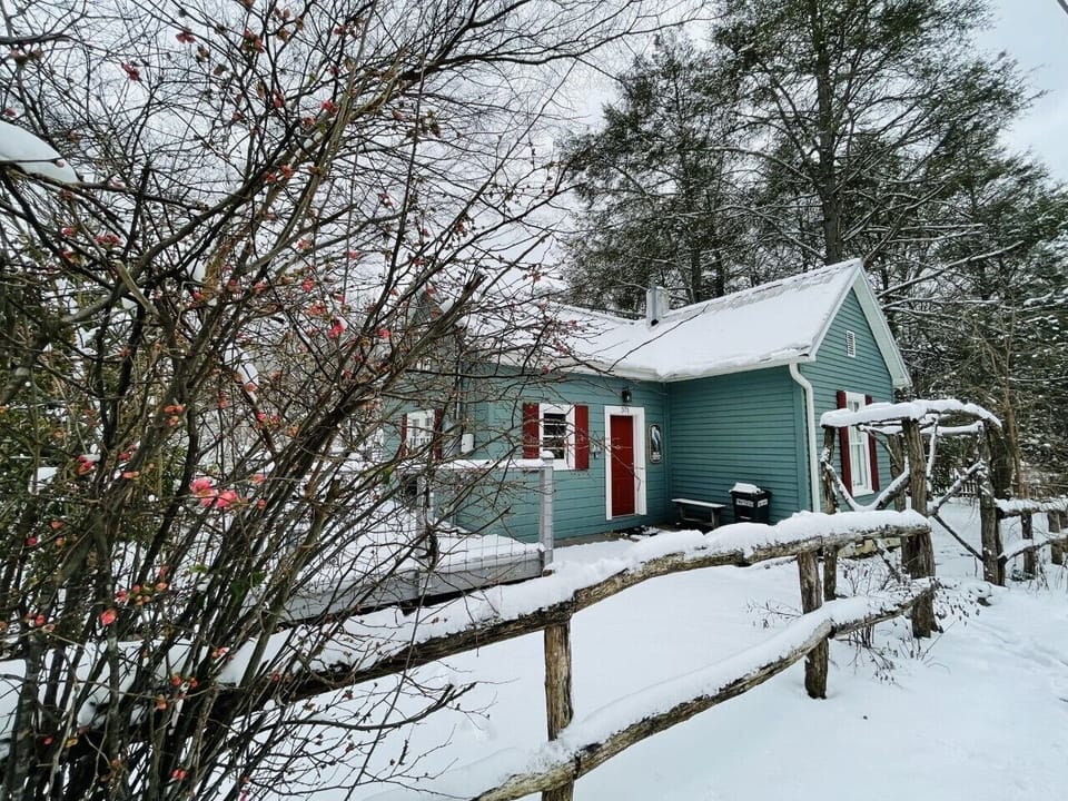 Quaint Blue Heron blanketed in a fresh winter snow. 