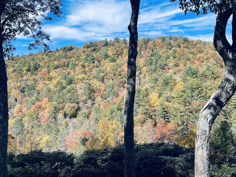 Views from apartment