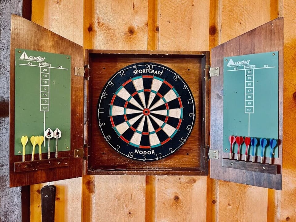 Test your aim on the dart board