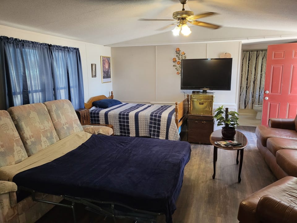 Living room with Sofa/bed pulled out.