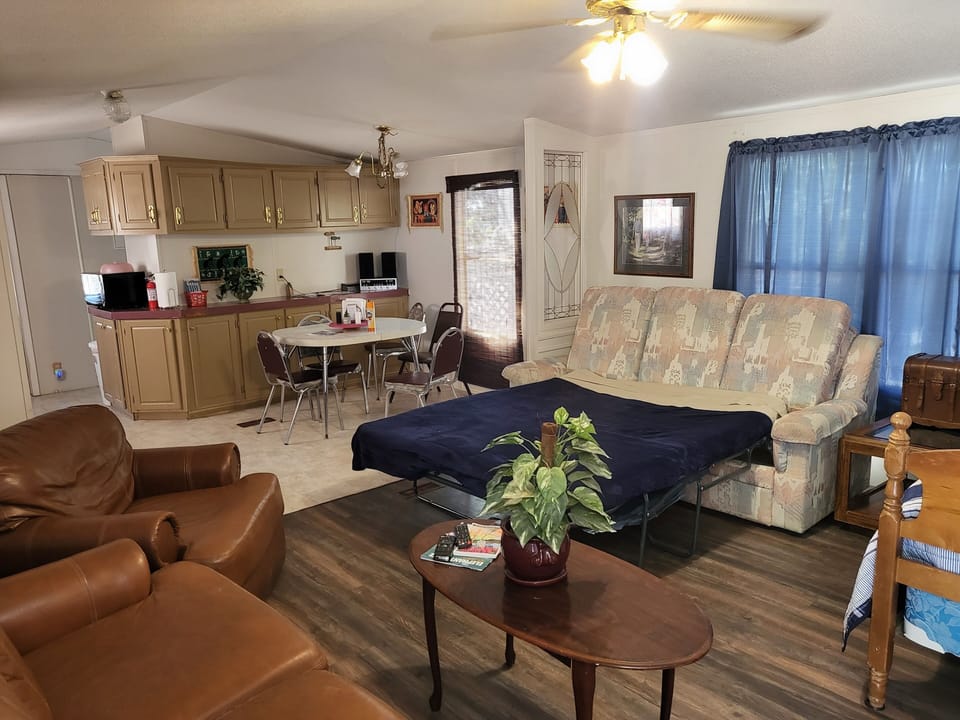 Another view of Sofa/Bed also showing Dining room area and part of kitchen.