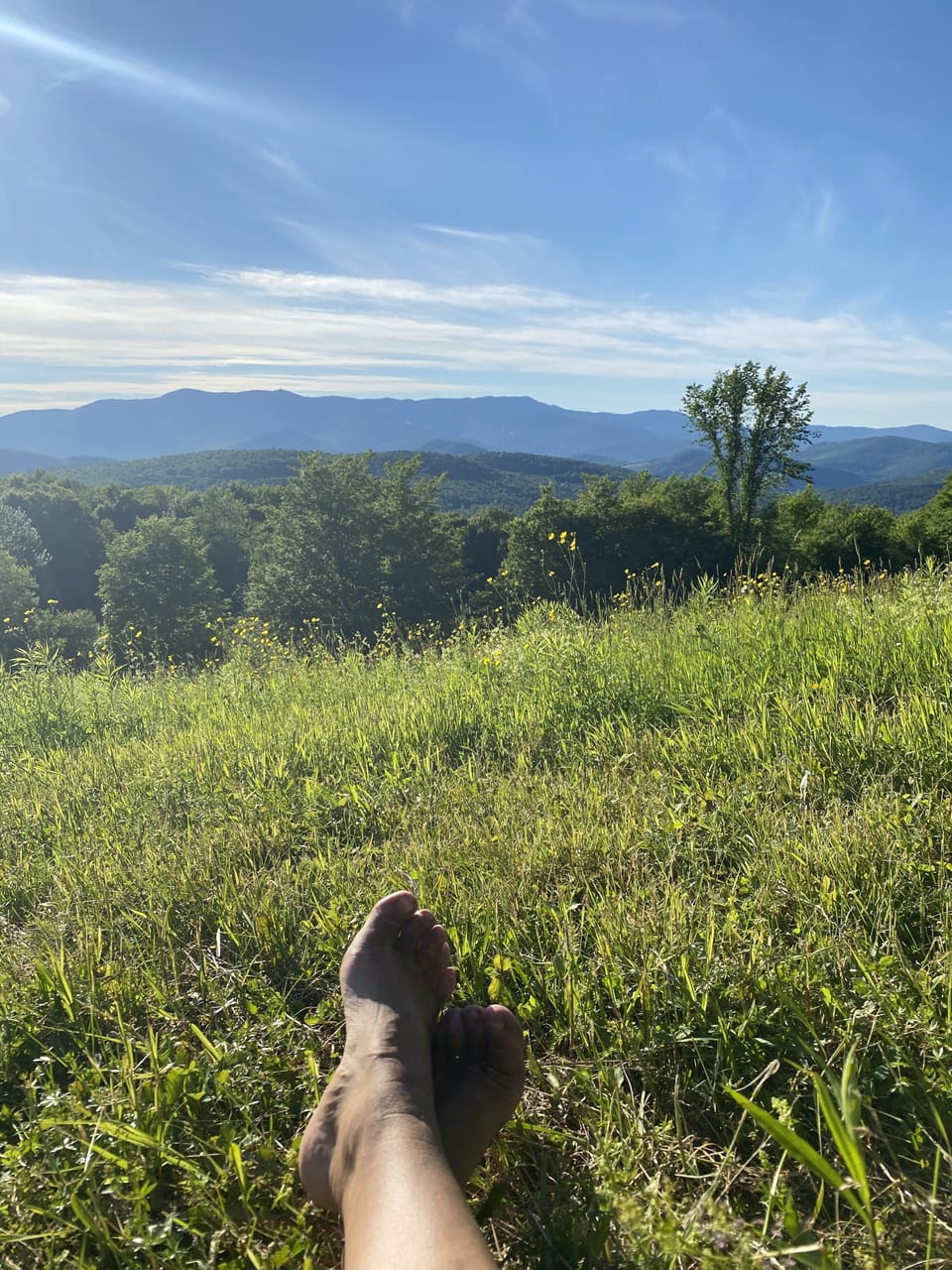 View from the top of the meadow