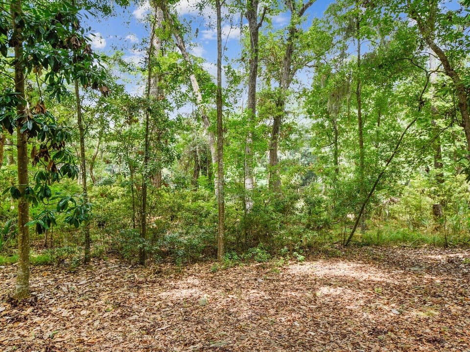 Wooded Landscape View from Back Deck at 21 Wildwood Road