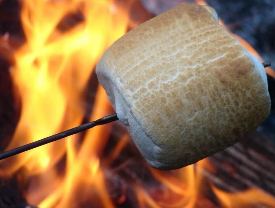 Enjoy a campfire