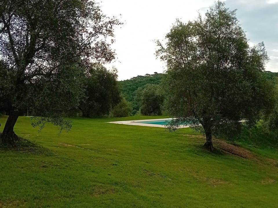 Garden and Pool