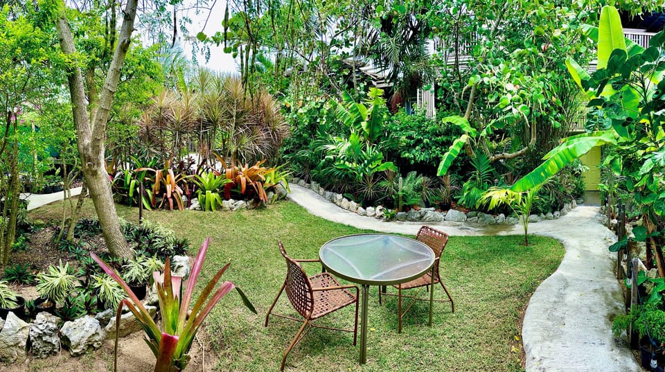 The landscaping is something like out of a Bali jungle, totally awesome.