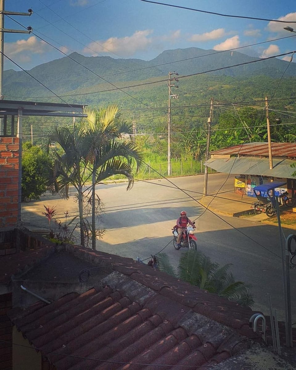 View from property