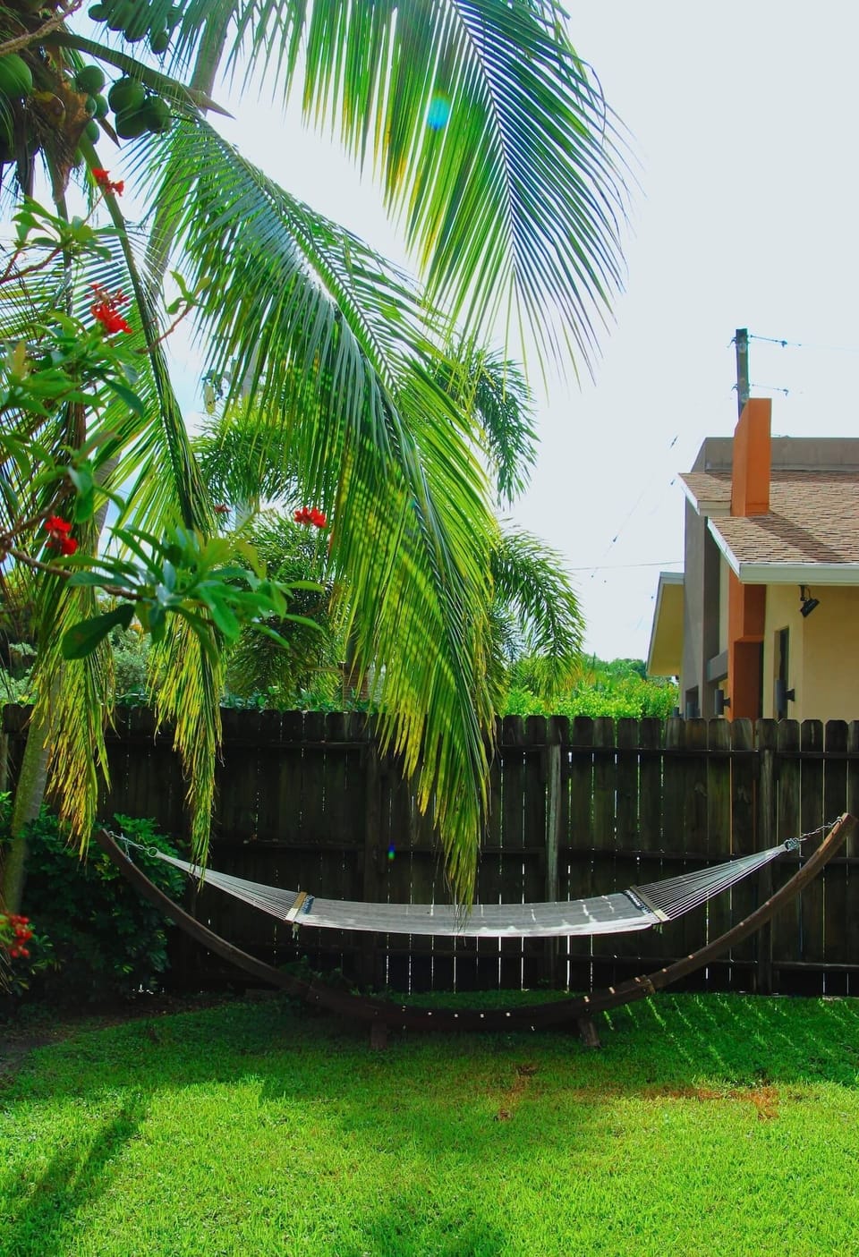 Peaceful hammock in the garden, swaying gently, serenaded by birds' melodious song