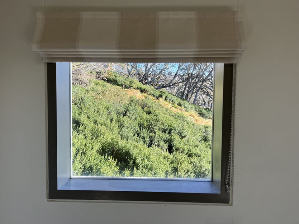 View out side window of bedroom 3 (in autumn).
