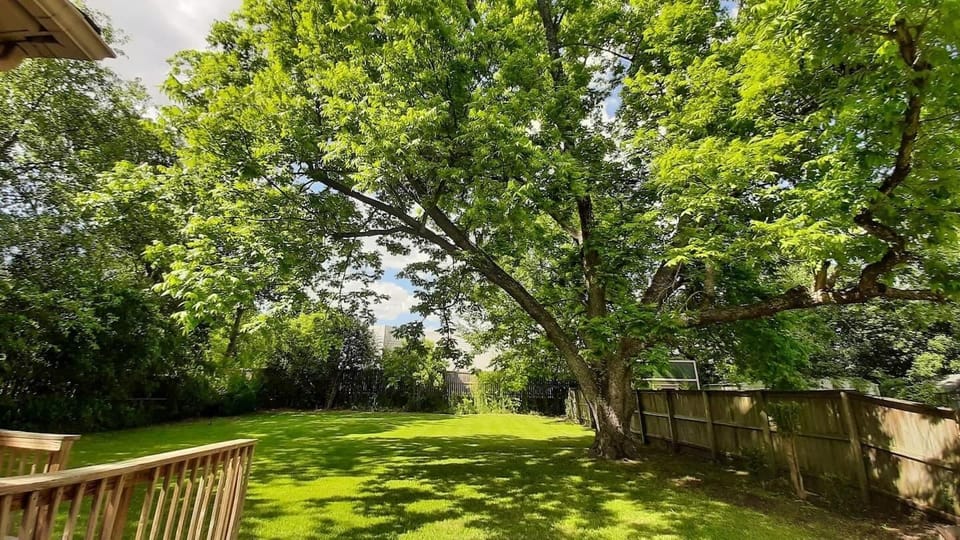 There's a lot to do in the backyard including picking Pecans from the Pecan tree