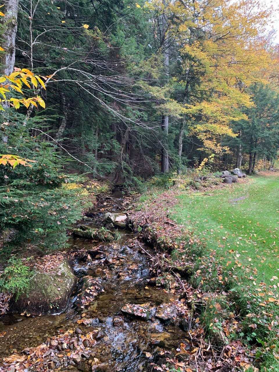 View from the back deck.  