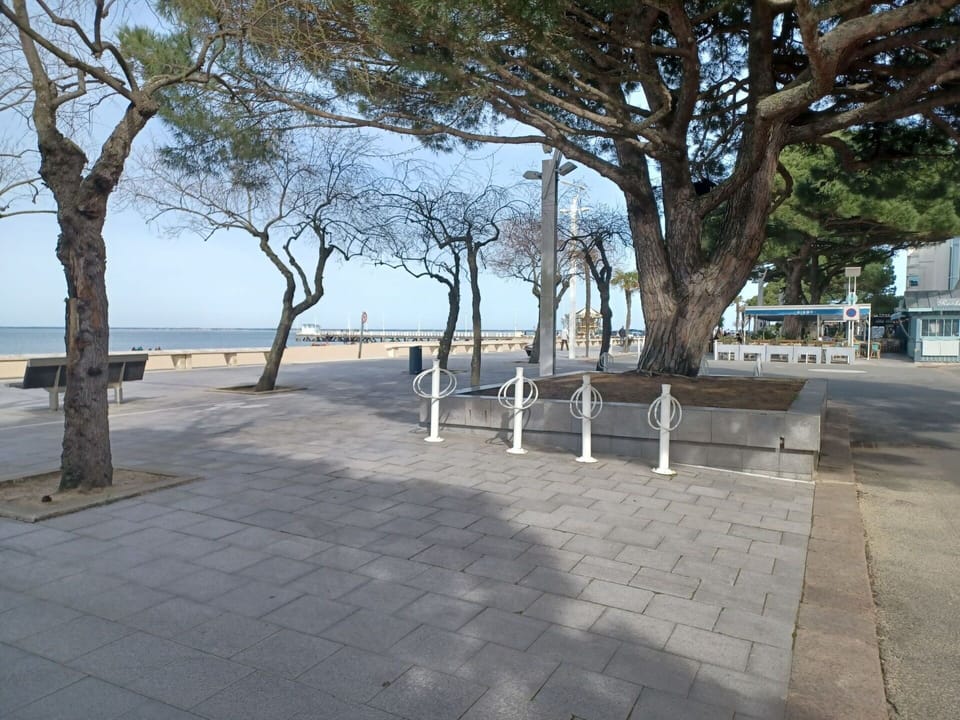 Sky, Road Surface, Plant, Water, Tree, Shade, Sidewalk, Trunk, Leisure, Urban Design