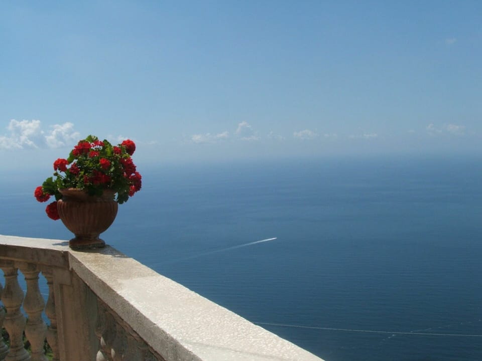 Sky, Water, Cloud, Flowerpot, Plant, Flower, Body Of Water, Horizon, Lake