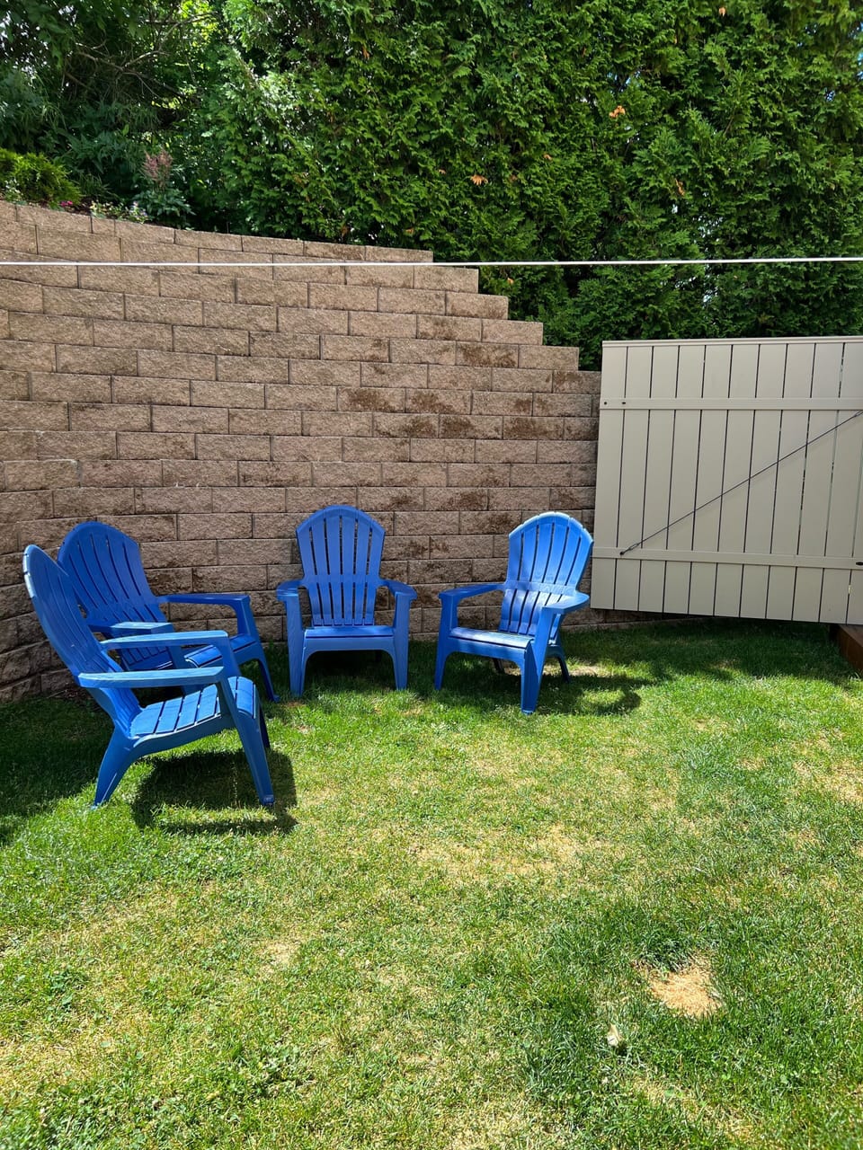 Small grassy back yard 