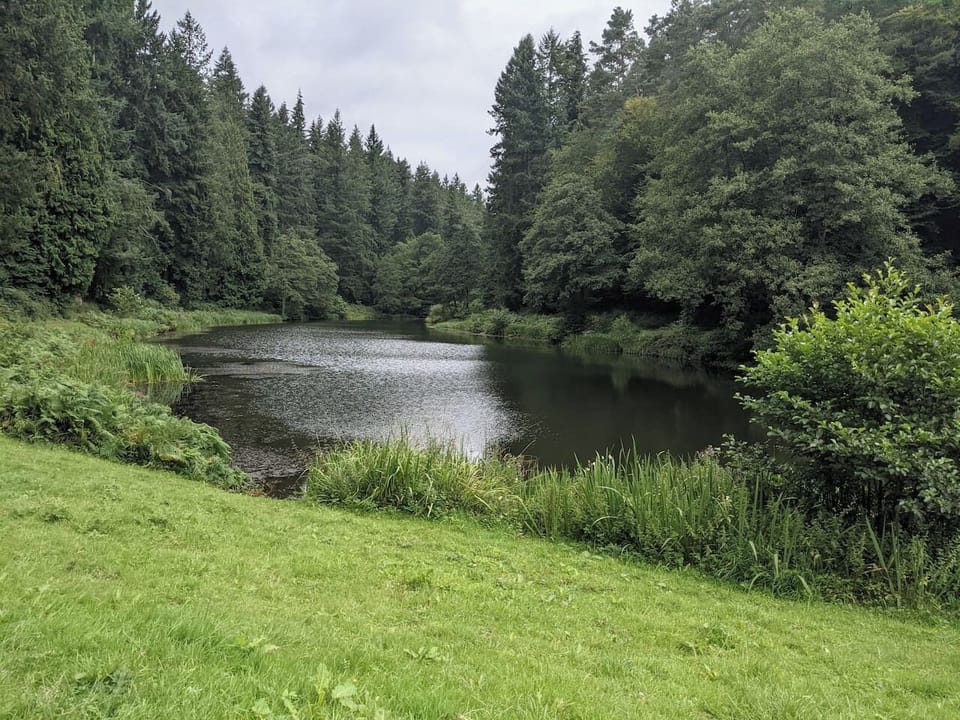 If you're looking for a flat circular walk then Soudley Ponds is a serene place to spend some time.  Afterwards you can enjoy cream tea at the Heritage Centre Coffee Shop.