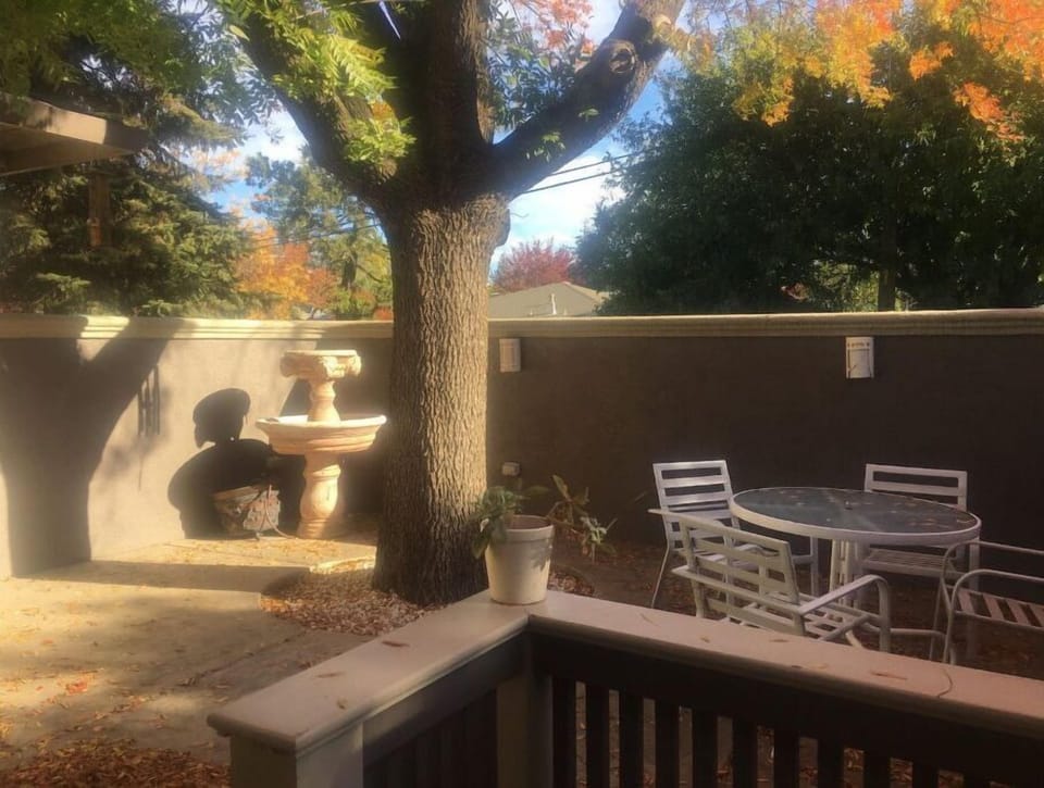 Enclosed outdoor patio with table, chairs and grill